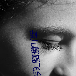 燕儿翩翩飞全集