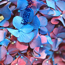 秘密教學土豪漫畫免費下拉