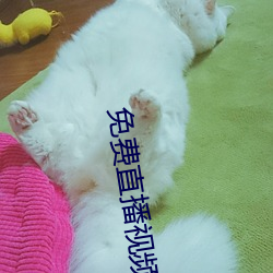 免费直播视频在线观看