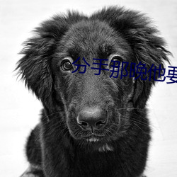 分手那晚他要(yào)了很多次