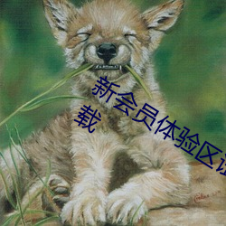 新会(會)员(員)体验区(區)试看120秒(秒)免费(費)免费版(版)下载