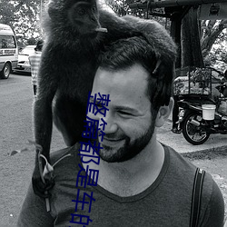 整(整)篇都是车(車)的小(小)说推荐(薦)言情(情)