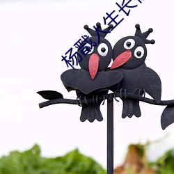 杨戬人生长恨水(水)长东(東)