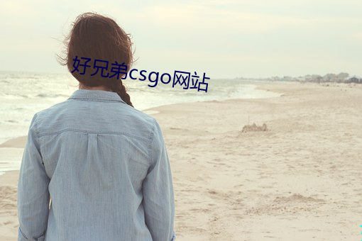 好兄弟csgo网(網)站