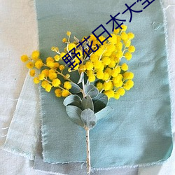 野花(花)日(日)本大全免费观(觀)看(看)6