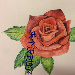 求个没封的在线看的网站