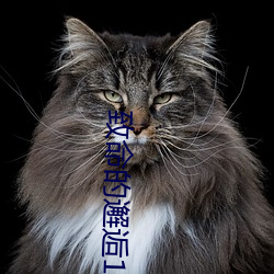 致命的(的)邂逅1080未(未)删减版下(下)