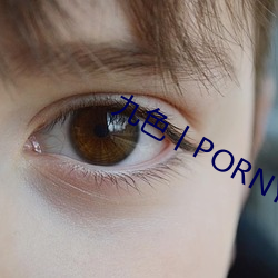 九色丨porny丨蝌蚪視頻
