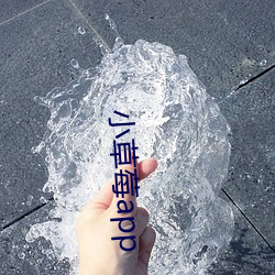 小草莓app