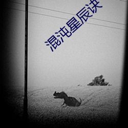 混沌星辰(辰)诀