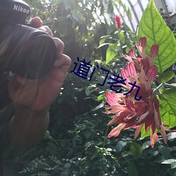 道(道)门老九