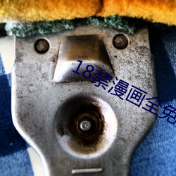 18禁漫畫全免費