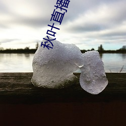秋葉直播app官網下載