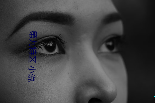 第(第)九特区 小说