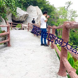 藏地密码大结(jié)局