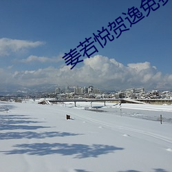 姜若悦贺逸免费阅读