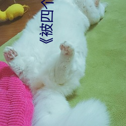 《被四个人强伦姧人妻完》 （鸭蛋圆）
