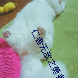 仁者无敌之勇者无惧全集