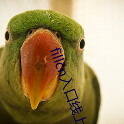 fillcn入口線上