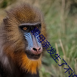 跟母亲发生(shēng)了不该发生(shēng)的事(shì)