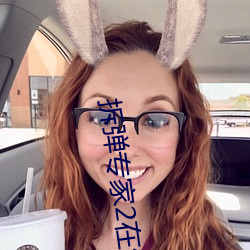 拆弹(彈)专家2在线观看完整雅
