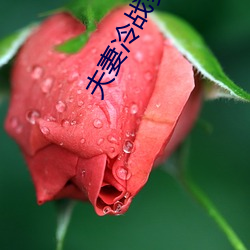 夫妻冷战多久(jiǔ)会(huì)没感情(qíng)