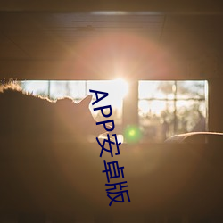 app安卓版