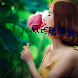顾芒陆承洲小说全文免费阅读