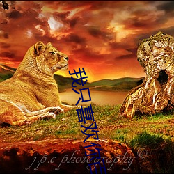 我只喜欢你百度云