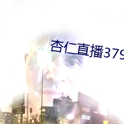 杏仁(仁)直播379tvapp