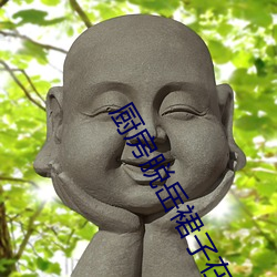 厨房脱(脫)岳裙子在后(後)面挺进去