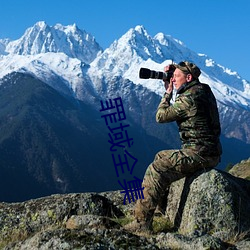 罪域全集