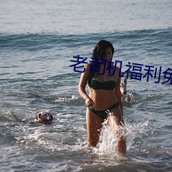 老司機福利免費