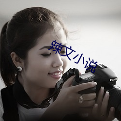 辣(辣)文(文)小说