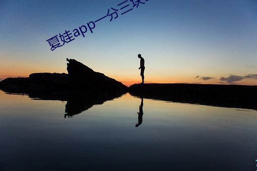 夏娃app一分三块5.3
