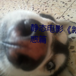 静态电影《新金瓶(瓶)梅(梅)》第一卷(卷):命惑篇