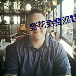 野花免费观看高清视频(頻)大全