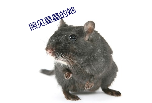 照见星(xīng)星(xīng)的她