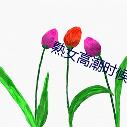 熟女高潮时候跟疯了一样