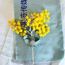 果冻(dòng)传媒mv国(guó)产最新版本