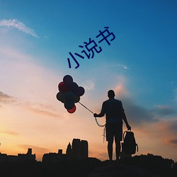 小说(說)书
