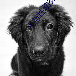 人與性動交ⅹxxxbbbb