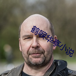 鹤唳华亭小说