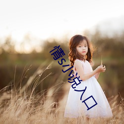 情s小说入口