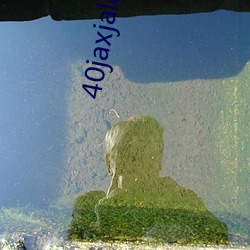 40jaxjalap