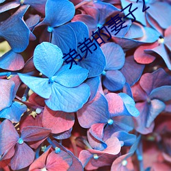 弟弟的妻子2