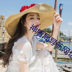 神盾局(局)导(導)航网址大全