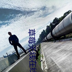 草莓无线在线观看网页版