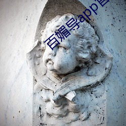 百媚导app官方(fāng)入口