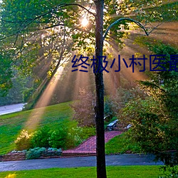 终极小(xiǎo)村医(yī)最(zuì)新章节